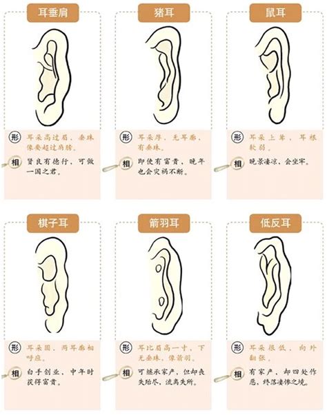 耳垂朝前|面相耳朵图解【最详细版】 – 杨易德全集官网